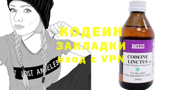 2c-b Бикин