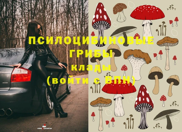 гашиш Бородино
