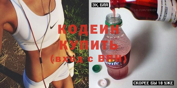 стафф Гатчина