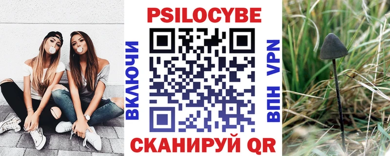 Галлюциногенные грибы мицелий  дарнет шоп  Гороховец 