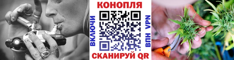 Конопля White Widow  Гороховец 